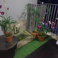 Blk 347A Adora Green (Yishun), HDB 3 Rooms #183298742